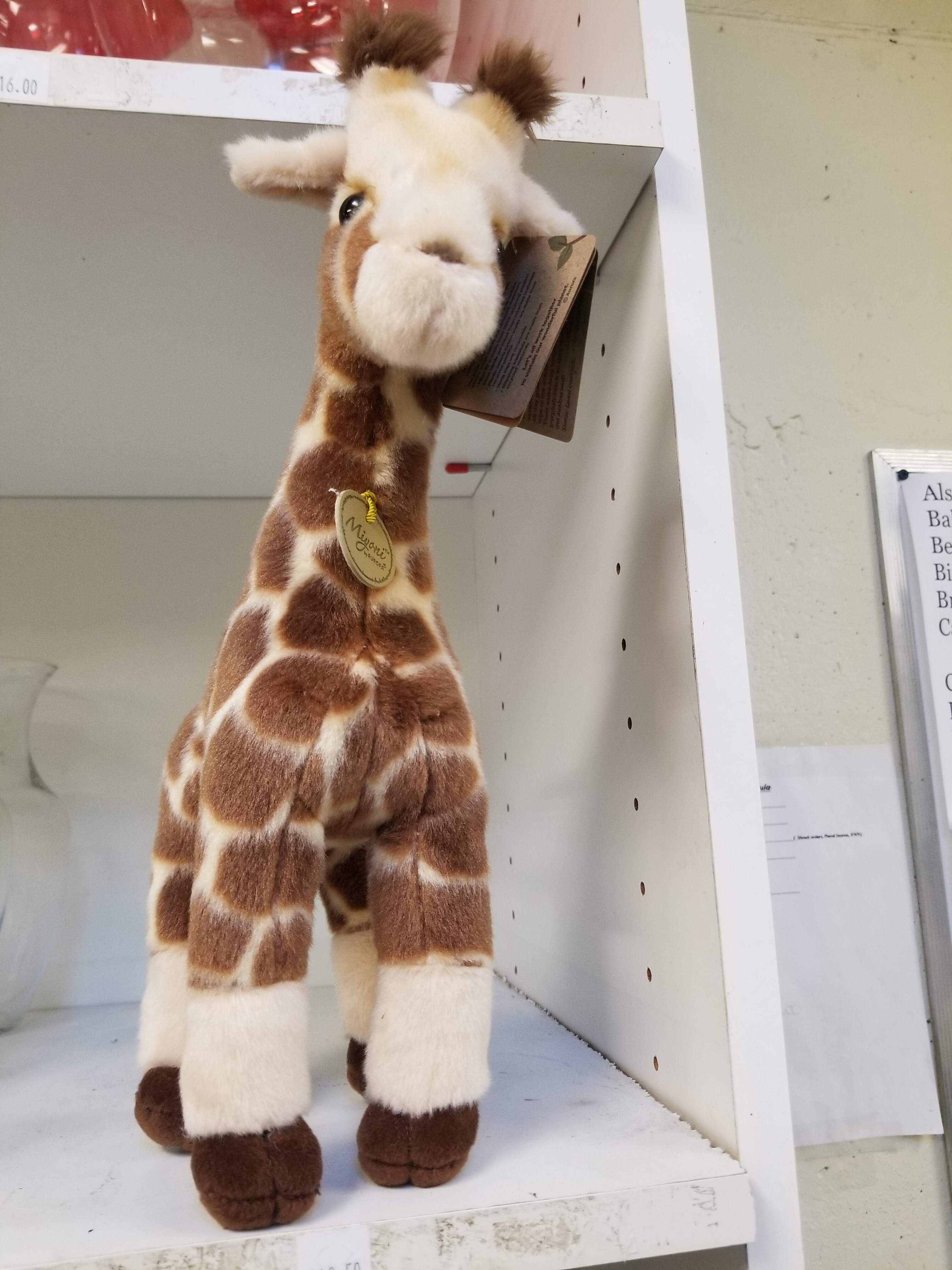 Giraffe 12